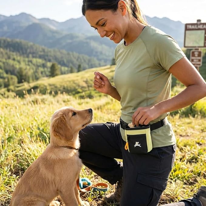 OllyDog, Goodie Treat Bag, Dog Treat Training Pouch | Magnetic Closure | 3 Ways to Wear | Hands-Free Waist Belt | Water-Resistant Recycled Vegan Fabric (Sol)