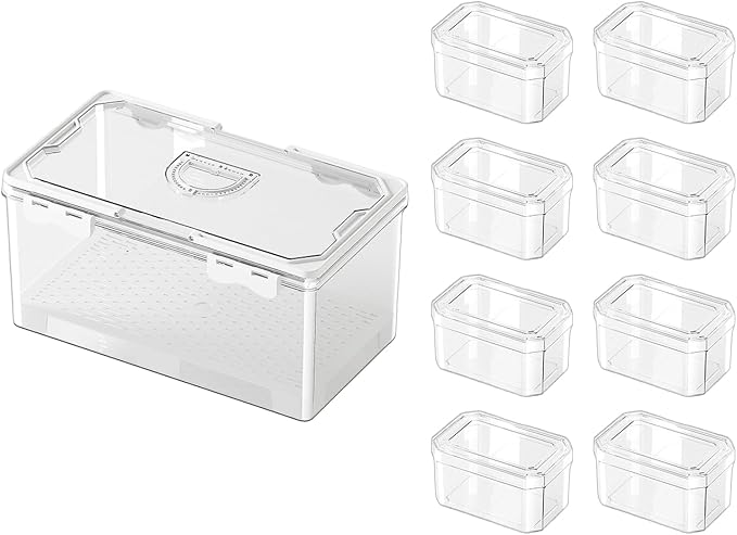 Transportable Hand Carry Food Storage Container Produced from PET Exemplary for Daily Commuting Outdoor Picnics and Home Organization