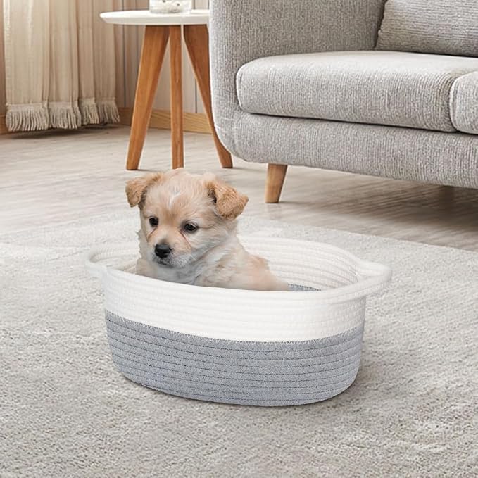 Small Dog Toy Basket, Woven Cotton Rope Storage Box for Cat Dog, Pet Baby Nursery Organizer, Empty Baskets for Gifts, Wicker Basket with Handles, Cute Shelf Bin for Decor, 12"x 8"x 5", Gray