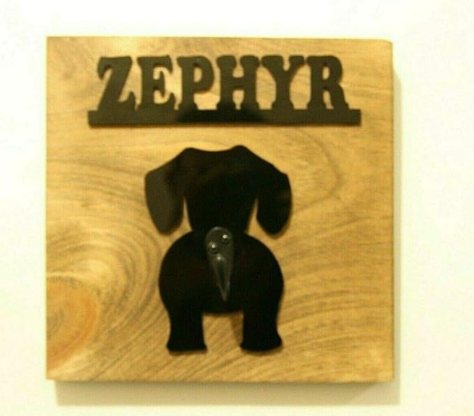 Personalized Wooden Dog Leash Hangers Custom Leash Holder Puppy Pet Hook Name Dog Design Sign Wall Organizer Decor, Hook and Hardware Is Installed Ready To Use, No More Where's the Leash? A Must Have