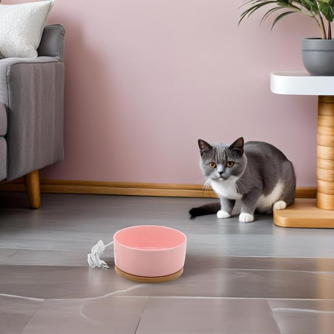 USB Powered Heated Pet Bowl for Cats and Dogs Anti-Freeze Electric Warming Ceramic Feeder with Cord Small Pink Thermal Water Dish for Outdoor Winter Use