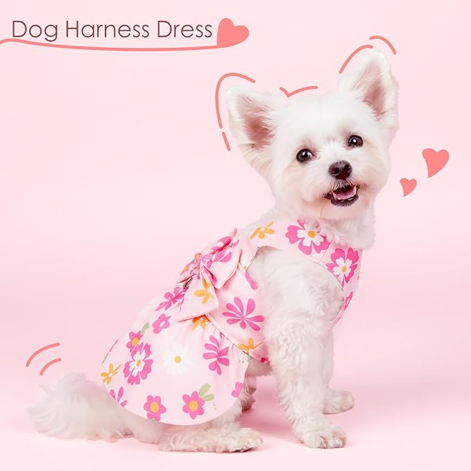 Dog Dress Harness Dresses Leash Set for Small Dogs Cute Girl Dog Clothes with Bowknot Puppy Outfits for Shih Tzu Yorkies Chihuahua