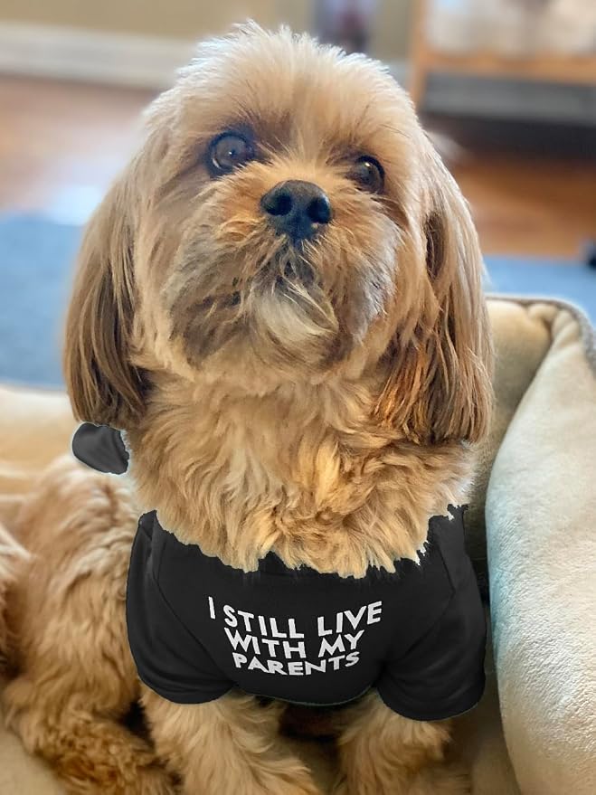 Cute Dog Clothes, T Shirt for Medium and Small Dogs Girl Boy,Puppy.Breathable Soft Dog Costume for Pet Dogs Cats, Pet Pullover Jumper, Cat Clothes-L(10~17lb) Chest~18",Black,Parents