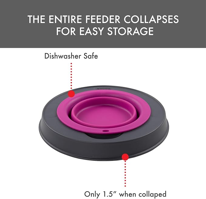 Dexas Pets Single Elevated Pet Feeder/Pet Bowl, 4 Cup Capacity, Fuchsia, Large/4 Cup Capacity