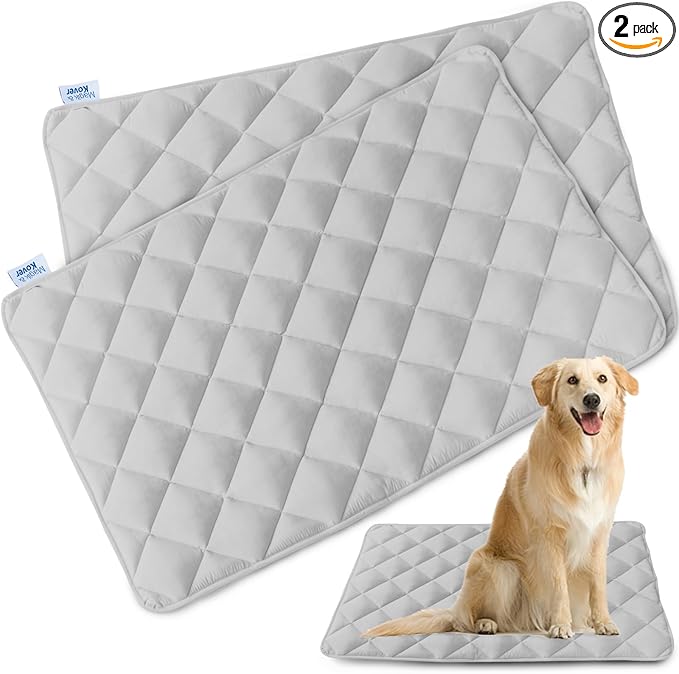 Dog Crate Pad 2 Pack, Soft Dog Crate Mat with Anti-Slip Bottom, Grey | Fits 24 Inch Crate, Machine Washable, Kennel Pad, 24” x 18”