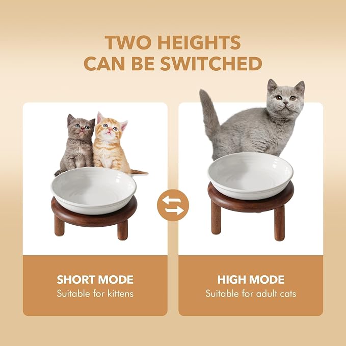 Havniva Elevated Cat Bowls, Ceramic Cat Bowl with Wood Stand, Wide Opening | 5.7” Raised Cat Food Bowls, Whisker Friendly Cat Dish, Anti-Slip Cat Water Bowls, Shallow Cat Bowls, Cat Food & Water Bowl