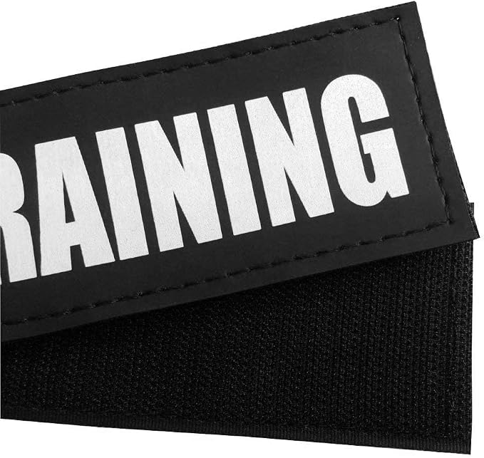 Fairwin in Training Patches, Reflective and Removable Dog Tags for Service Vest Dog Harness