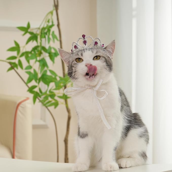 Lovelyshop Princess Pet Tiara Crown for Cats & Dogs, S, Purple