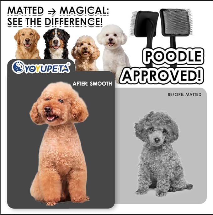 Large Slicker Brush for Dogs - Long Pin Deshedding Brush for Mats & Shedding on Long Haired Dogs, Doodles, Poodles, Goldendoodle, Labradoodle, 3pc Grooming Kits with Wooden Handle, Black