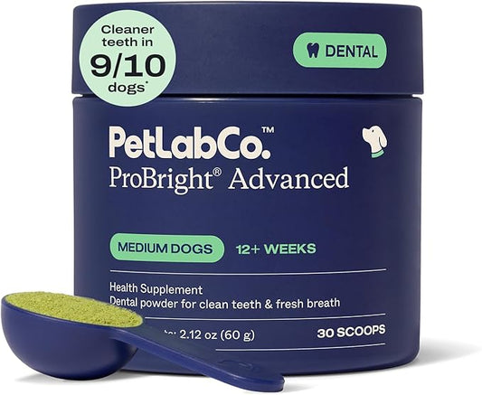 PetLab Co. ProBright Advanced Dental Powder - Dog Breath Freshener - Teeth Cleaning Made Easy – Targets Tartar & Bad Breath - Packaging May Vary - Formulated for Medium Size Dogs