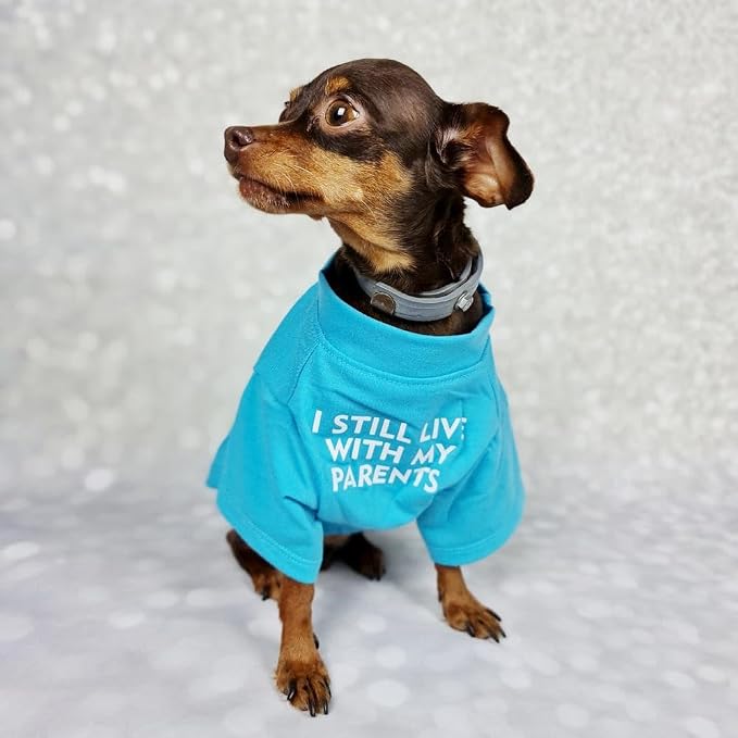 French Bulldog Shirt for Small Dog Clothes Breathable Stretchy Costumes(M) | Miss Pet,I Still live With My Parents Printed Puppy T-Shirts Cat Tee