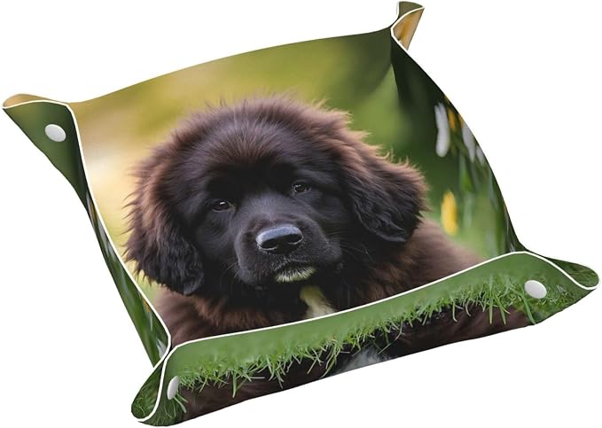 LeatherJewelry Valet Tray for Women Men, Portable Travel Catchall Tray Organizer Dish Plate Cute Pet Newfoundland Dog Bedside Vanity Tray Nightstand Caddy Holder for Wallet, Key, Coin