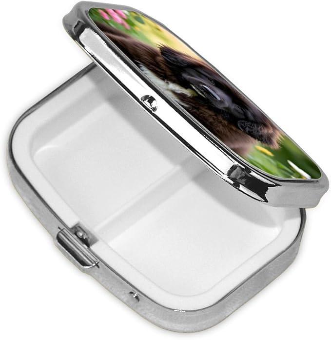 Pill Box with Mirror 2 Compartment Cute Pet Newfoundland Dog Small Pill Case for Purse Or Pocket Mini Metal Pill Holder Travel Weekly Medicine Tablet Vitamin Holder Organizer Travel Gifts