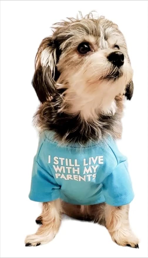 Cute Dog Clothes, T Shirt for Medium and Small Dogs Girl Boy,Puppy.Breathable Soft Dog Costume for Pet Dogs Cats, Pet Pullover Jumper, Cat Clothes (XL-(16~20lb), Chest~20", Aqua)