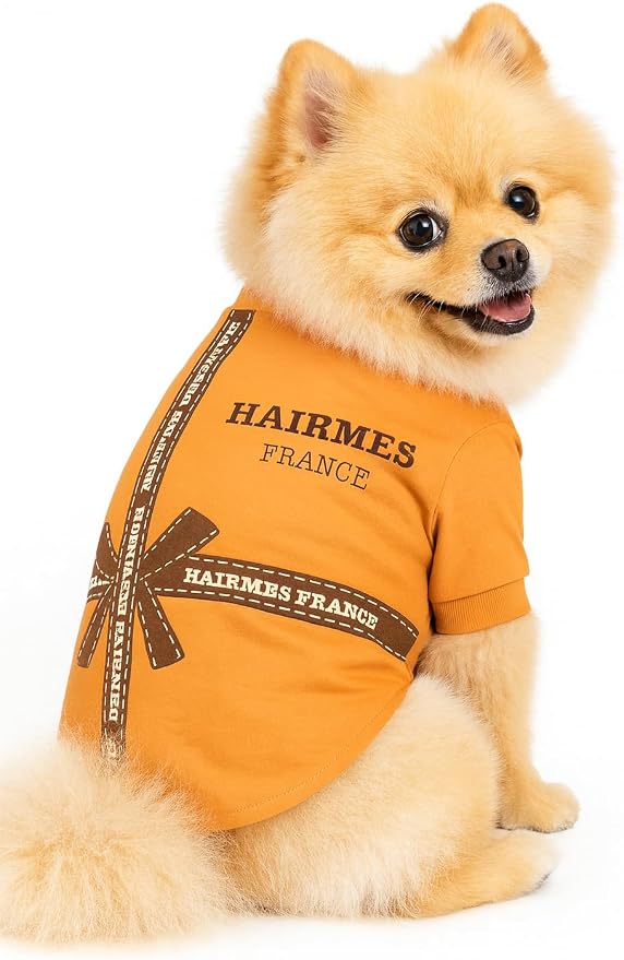 Dog T-Shirts for Small Dogs, Designer Dog Clothes, Luxury Lightweight Tee | Dog T-shirts for small dogs; soft lightweight designer dog clothes with luxury comfort for Chihuahuas, Yorkies and Dachshunds