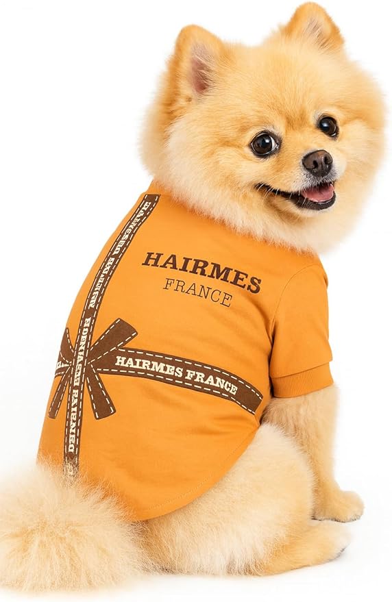 Dog T-Shirts for Small Dogs, Designer Dog Clothes, Luxury Lightweight Tee | Dog T-shirts for small dogs; soft lightweight designer dog clothes with luxury comfort for Chihuahuas, Yorkies and Dachshunds