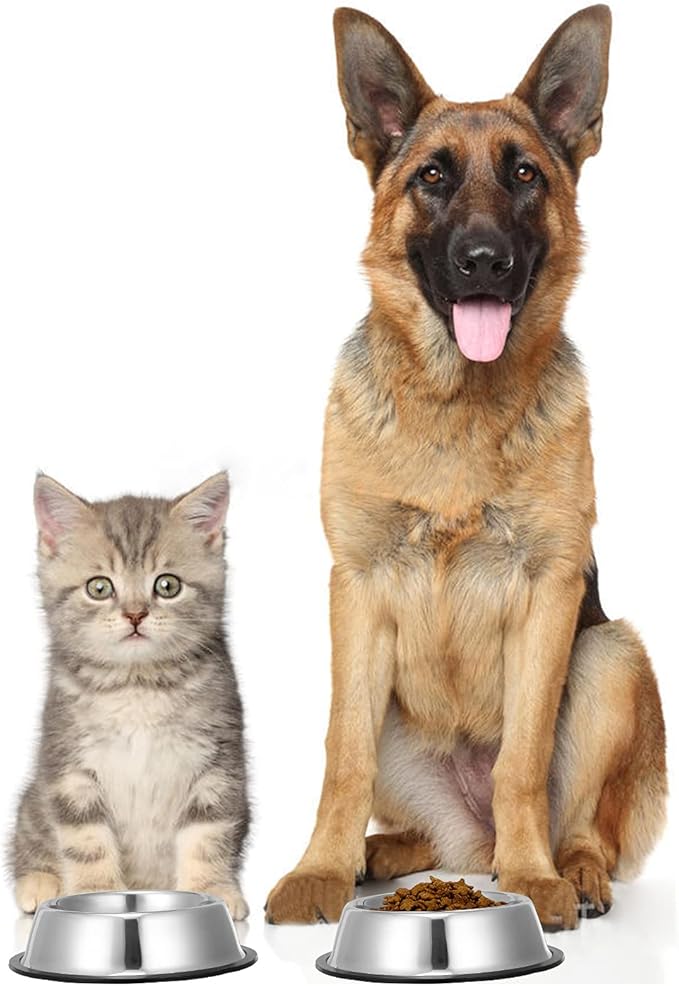 2 Pack Stainless Steel Dog Bowls with Rubber Bottom, Anti-Slip Heavy Duty Premium Quality Pets Feeder Bowls for Dogs and Cats and More (2Cup / 16oz)
