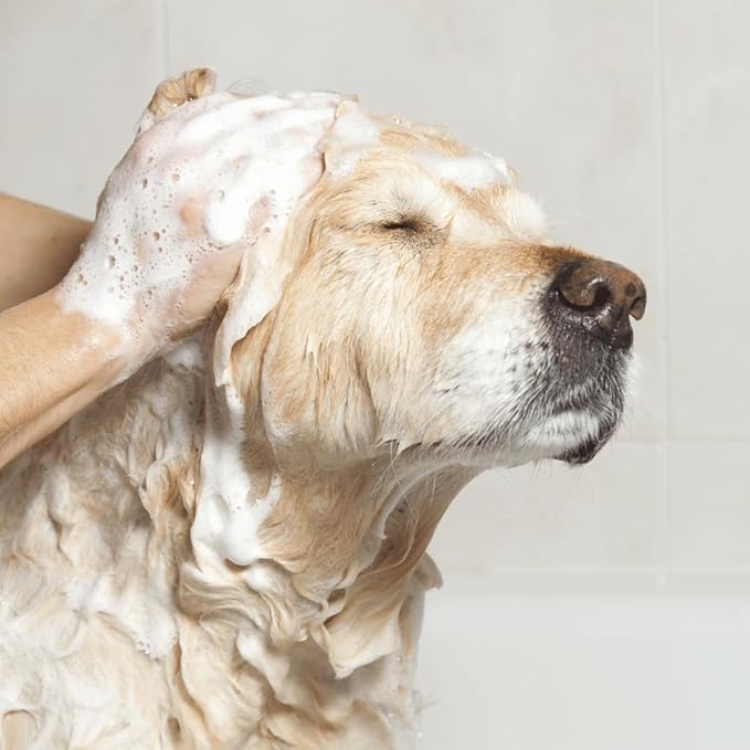 Pet Shampoo and Cream Rinse Set, Hypoallergenic Formula with Essential Fatty Acids, Natural Moisturizing for Pets, 12 fl oz (Hypoallergenic Shampoo)