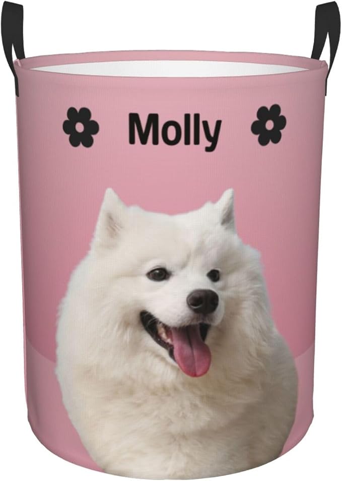 Personalized Large Dog Toy Storage Basket Bin Collapsible Custom Pet Stuff Box Chest Container for Living Room Organizer for Dog Toys,Dog Food,Blankets,Clothing (Pink)