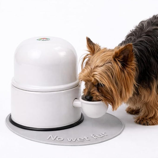 Pet Water Dispenser for Dogs and Cats, 47.3 oz – Gravity-Fed Aluminum Water Bowl, Prevents Wet Fur, Provides Continuous Fresh Water, Electrostatic Coated Finish, (White)