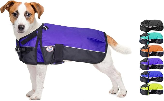 Derby Originals Ruff-Pup Winter Dog Coat 600D Medium Weight, 13.5 IN, Purple