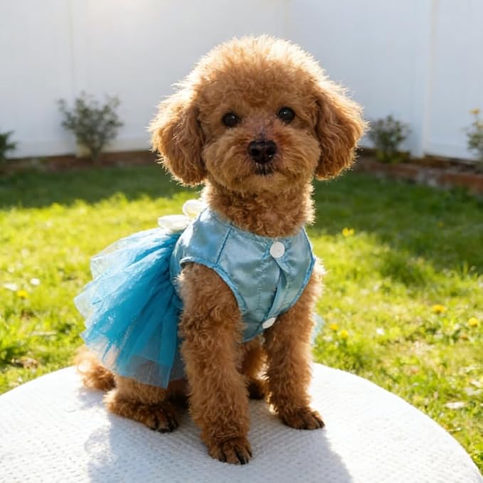 Blue Puppy Dress for Small Dogs with Bow Knot Gorgeous Cat Wedding Dresses Elegant Girl Dog Clothes Pet Party Ball Gown Outfit for Holiday Birthday Engagement Valentines (Sky Blue, Large)