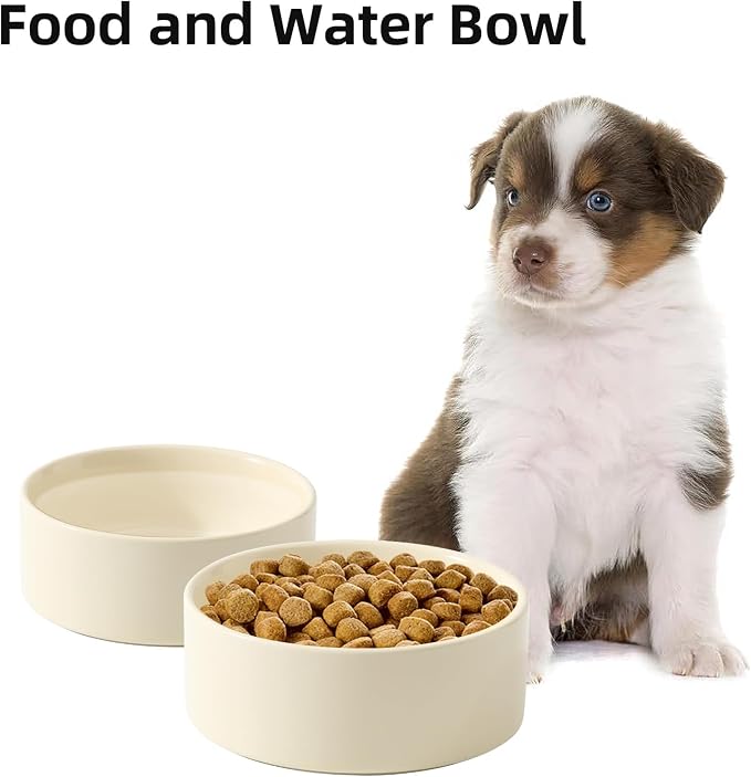 Havniva Cat Bowls Set of Two, 6.1” Ceramic Cat Food Bowls, Cat Water Bowl | Cat Food and Water Bowl Set, Non-Slip Base, Food-Grade Ceramic, Wide Opening, Dishwasher Safe, Pet Bowls Whisker Friendly
