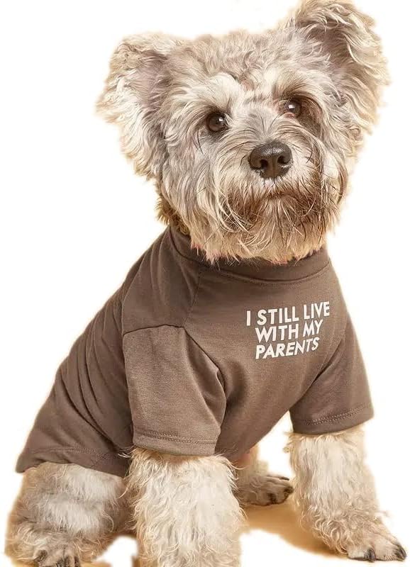 Cute Dog Clothes, T Shirt for Medium and Small Dogs Girl Boy,Puppy.Breathable Soft Dog Costume for Pet Dogs Cats, Pet Pullover Jumper, Cat Clothes (L-(10~17lb), Chest~18", Khaki)