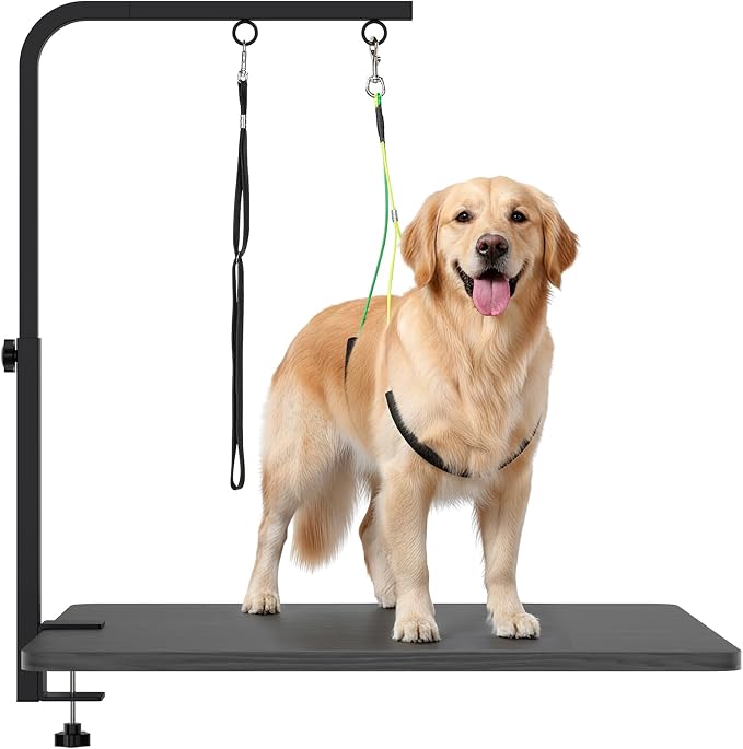 Adjustable Pet Grooming Arm with Clamp for Small & Medium Large Dogs,44" | Dog Grooming Arm,Grooming Loop & No Sit Haunch Holder Dog Grooming Station with Clamp for Home Use,Nail Trimming & Drying