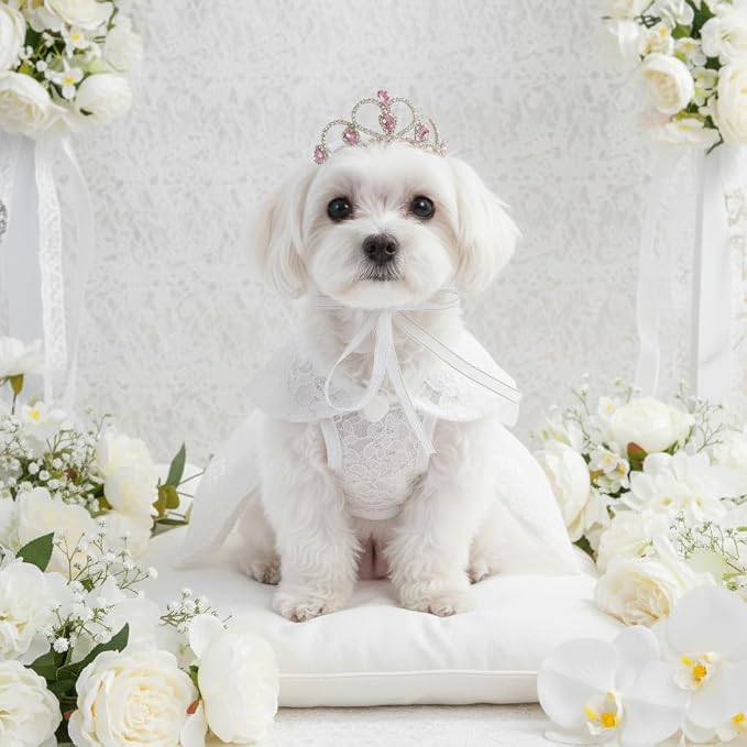 Lovelyshop Princess Pet Tiara Crown for Cats & Dogs, M, Gold Pink