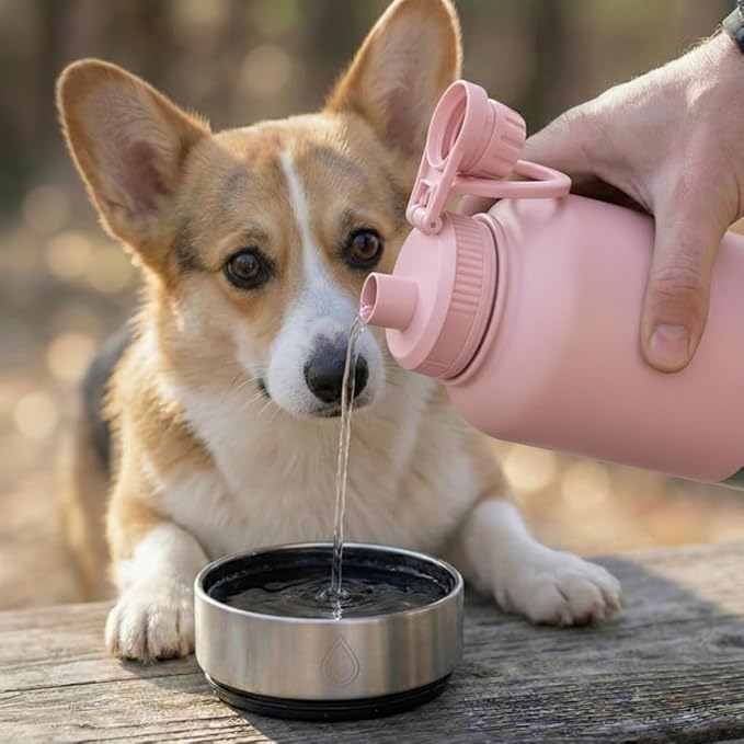 32oz Portable Dog Water Bottle with 2 Detachable Bowls for Small & Medium Dogs, Insulated Dog Travel Bottle for Walking and Road Trips (Pink)
