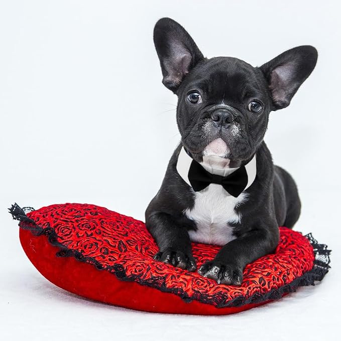 Elegant Dog Bow Tie - Cute Tuxedo Bowtie with Adjustable White Collar for Formal Pets - Perfect for Valentines, Weddings, and Birthdays