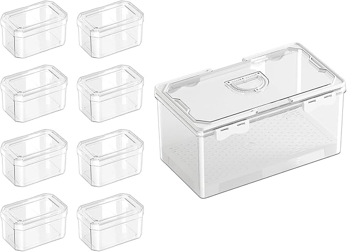 Transportable Hand Carry Food Storage Container Produced from PET Exemplary for Daily Commuting Outdoor Picnics and Home Organization