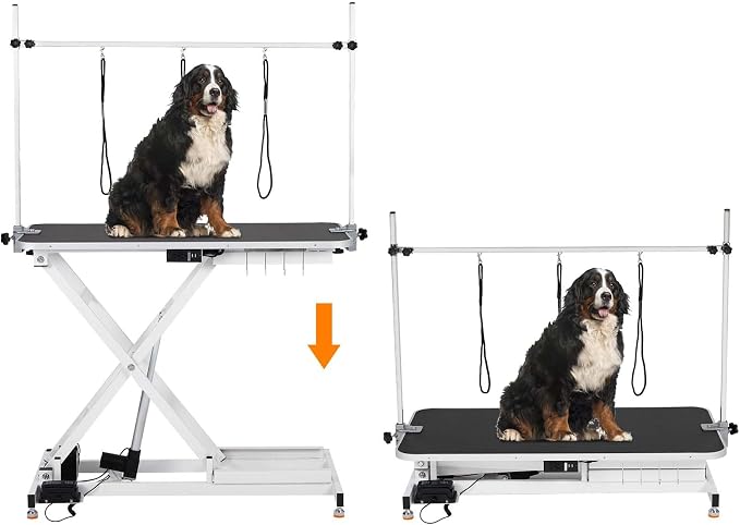 Garvee 47 in Electric Dog Grooming Table, Heavy Duty, Height Adjustable | w/Leveling Wheels, Dog Grooming Arm, Anti Slip Tabletop & Tool Organizer/Dog Grooming Station, White