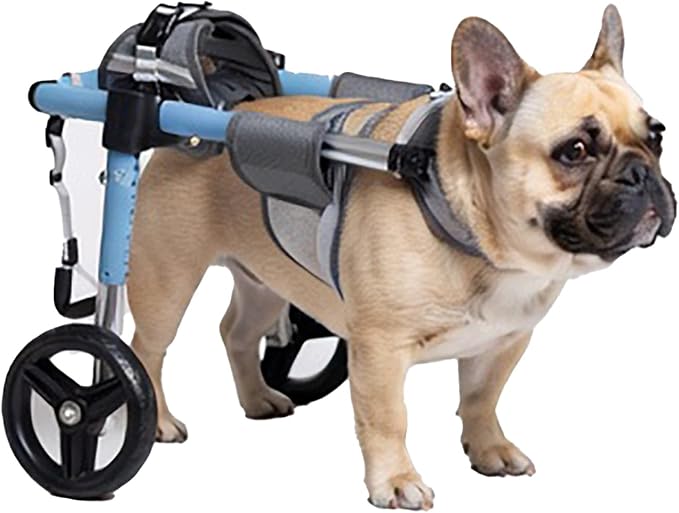 Dog Wheelchair for Hind Legs Support Small Medium Dogs Adjustable Paw Cart, Push-Button Height/Width/Length for Hip Dysplasia Senior Dog Mobility Struggle Relief