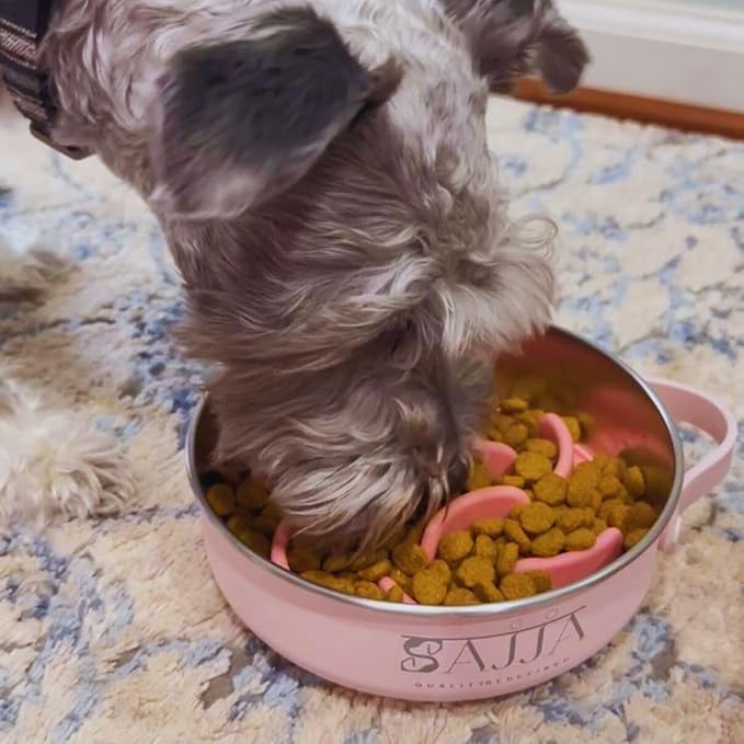 Pink Slow Feeder Travel Dog Bowl Set – 30oz Stainless Steel + 20oz Collapsible Silicone Dish + Silicone Slow Feeder Insert | Water Bottle Holder | Non-Slip, Anti-Choking, BPA-Free – Claim