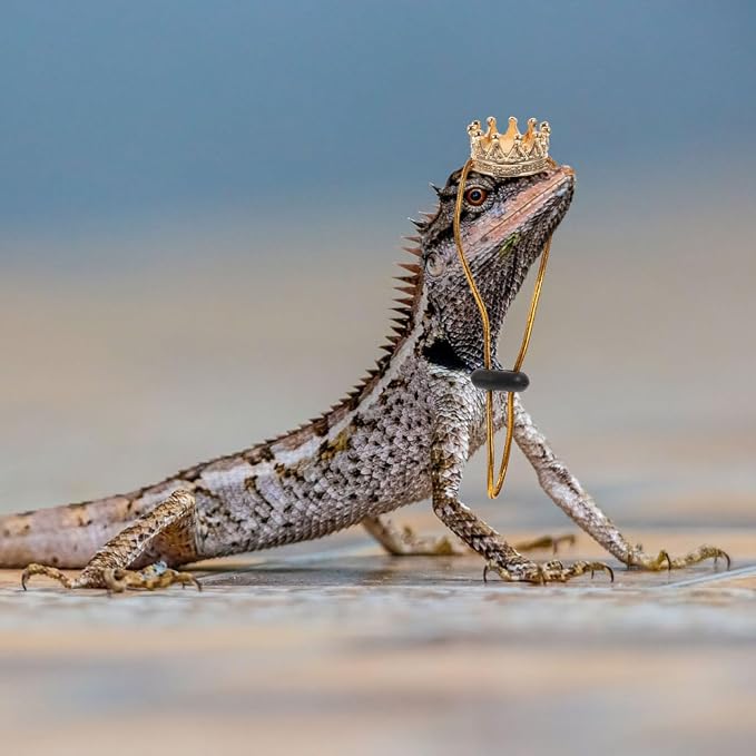 Lizard Clothes Accessories Reptile Crown Necklace with Chain Small Costume Hat for Bearded Dragon Snake Lizard Festival Photo Prop 0.98 X 0.98 X 0.51 in