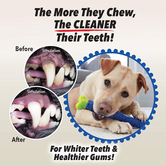 BulbHead Chewbrush Toothbrush and Toy - No Dog Toothpaste Required - Great Teeth Cleaning Toy (1 Pack)