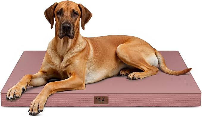 Jumbo Waterproof Orthopedic Dog Bed for Extra Large Dogs | Egg Crate Foam, Pressure Relief, Fits 54x37 Crates, Machine Washable 1680D Oxford Cover, Indoor & Outdoor Use, Up to 150 lbs