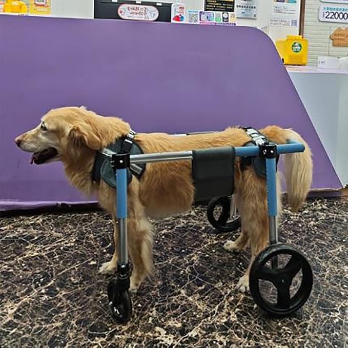 Dog Wheelchair for Back Legs Small Medium Dogs Adjustable Paw Cart Mobility Aid with Aluminum Alloy Frame All Terrain Wheels for Paralyzed Hind Legs Recovery & Daily Walking