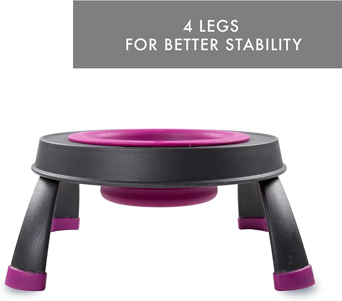 Dexas Pets Elevated Pet Feeder, Small, 1.5 Cup Capacity, Fuchsia, Raised Pet Food and Water Bowl