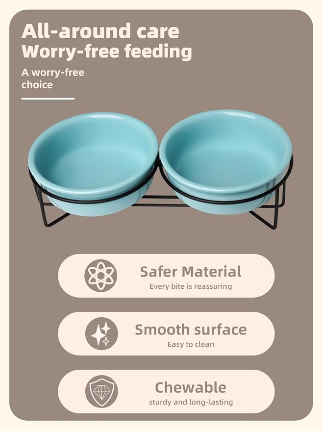 GDCZ Elevated Cat Bowl Stand, 11.6 in Metal Stand with 2 Removable 15 OZ Ceramic Bowls for Pet Food and Water, Stand Reduces Cat Neck Burden, Turquoise