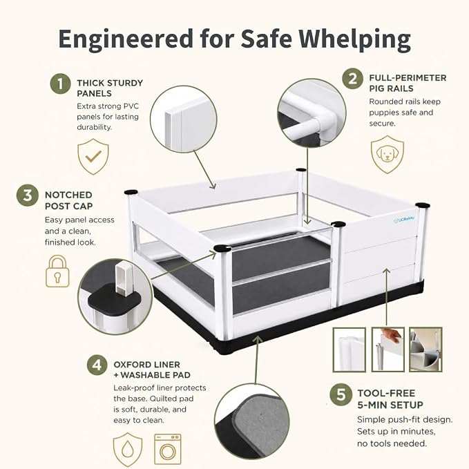 Whelping Box for Dogs and Puppies with Clear Window Panel – 36 Inch Modular, Easy-Clean, Safe Design with Pig Rail, Floor Liner & Washable Pad | Premium Small to Medium Breeds
