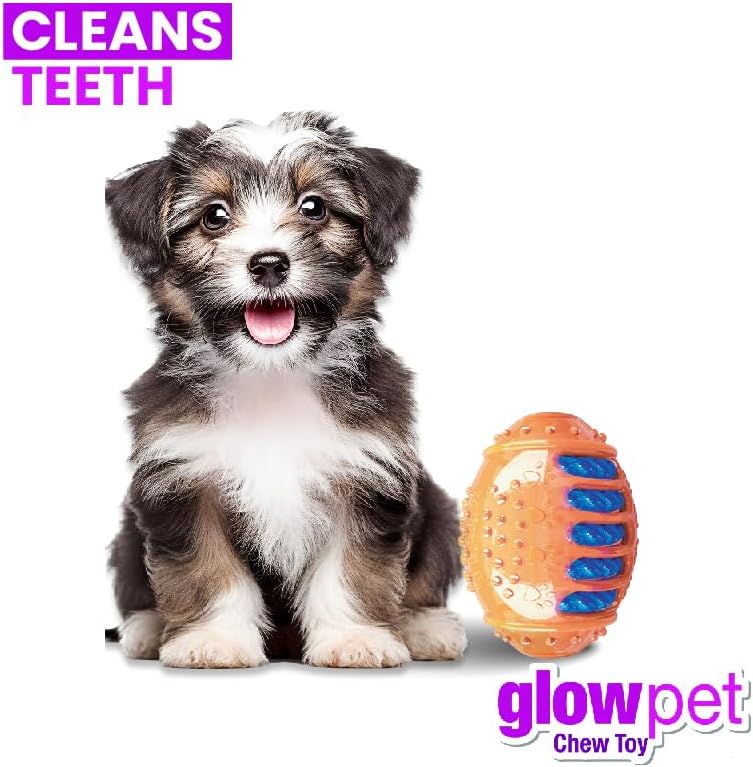 GlowPet Chew for Dogs - Light Up Dog Football for Teeth Cleaning & Gum Massage - Durable, Safe & Non-Toxic Interactive Pet - Perfect for Small to Medium Sized Dogs | Orange