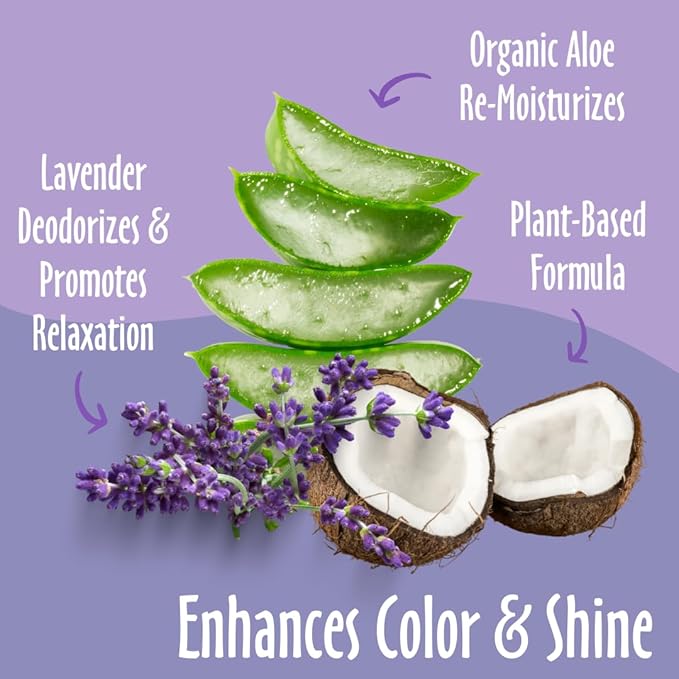 earthbath, Lavender Dog Shampoo - Coat Brightening Shampoo for Dogs, Deodorizing Dog Wash, Made in USA, Shampoo for Smelly Dogs, Cruelty Free Pet Shampoos - 16 Oz (1 Pack)