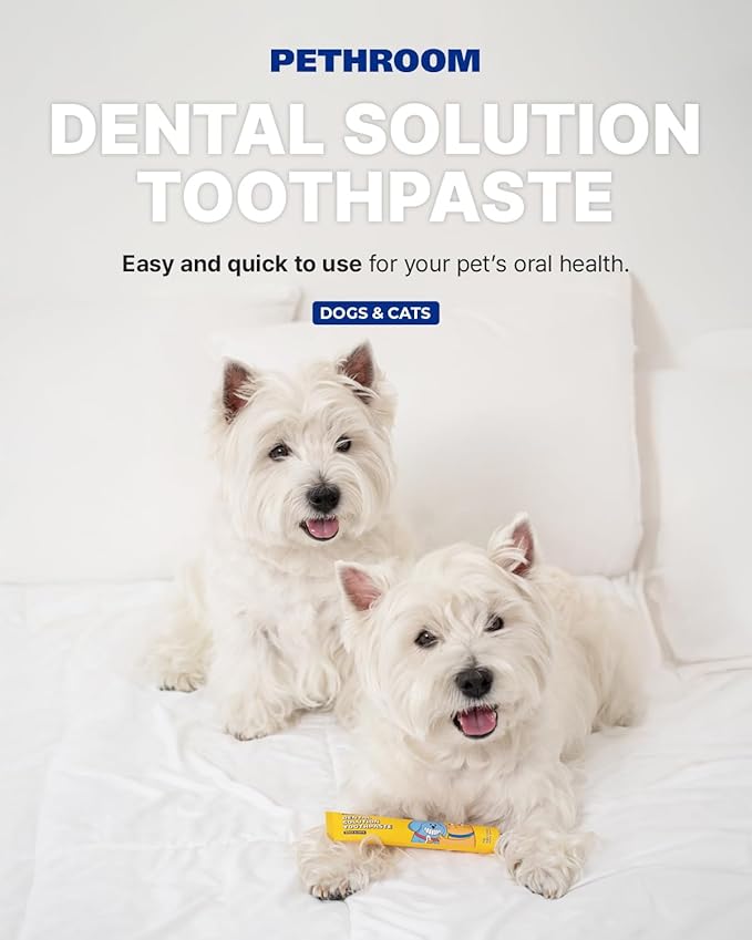 PETHROOM Pet Dental Solution Toothpaste for Dogs & Cats – Sweet Potato Flavor, Enzymatic Toothpaste for Fresh Breath & Plaque Control, Gentle Daily Dental Care, Net Wt 2.1 oz
