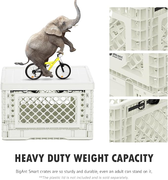 Bigant Heavy Duty Collapsible & Stackable Plastic Milk Crate - Snap Lock Foldable Industrial Garage Storage Bin Container Utility Tote Basket (Ivory, 1 Small Crate)