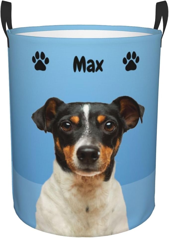 Personalized Large Dog Toy Storage Basket Bin Collapsible Custom Pet Stuff Box Chest Container for Living Room Organizer for Dog Toys,Dog Food,Blankets,Clothing (PowerBlue)