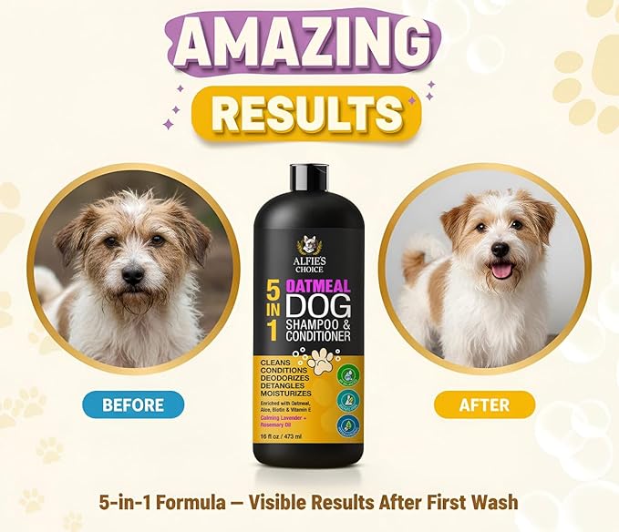 ALFIE'S CHOICE Oatmeal Dog Shampoo and Conditioner for Itchy Skin Relief | 16 fl oz | 5-in-1 Puppy Shampoo for Sensitive Skin | Cleans, Deodorizes & Detangles for All Breeds | Dog Wash Made in USA