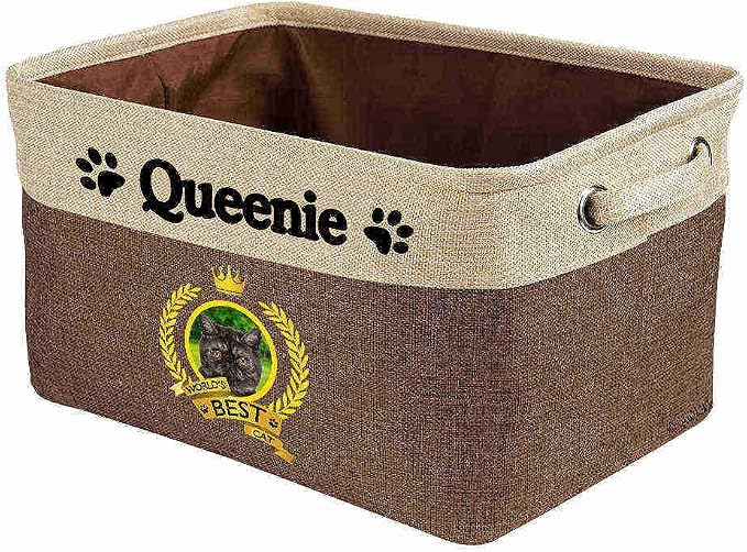 Custom Name Collapsible Dog Toy Storage Basket Bin World's Best Cat Exoticshorthair Foldable Pet Toy Box Closet Shelf Baskets Organizer for Bedroom Home Dog Cat with Handles Brown